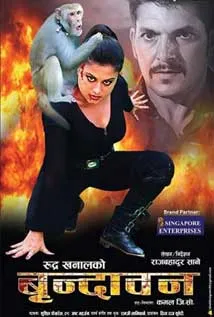Brindaban (2016) poster
