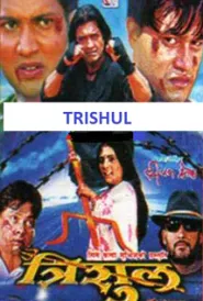 Trishul (2007) poster