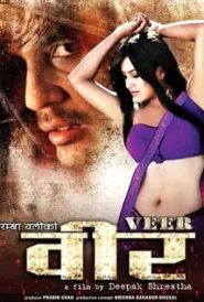 Veer (2013) poster