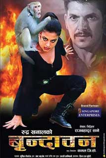 Brindaban (2016) poster