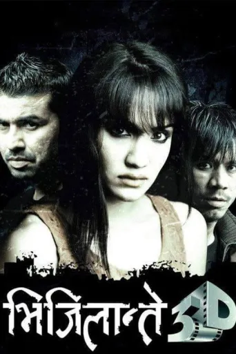 Vijilante 3D (2013) poster