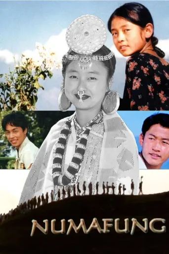 Numafung (2001) poster