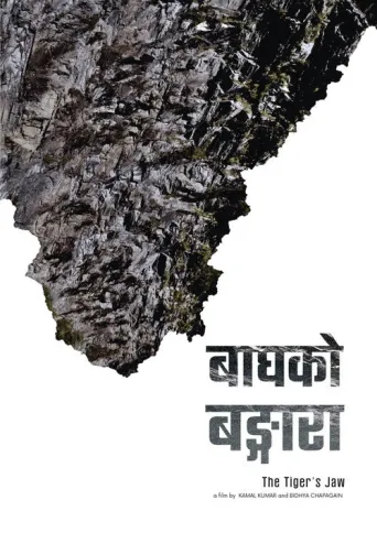 The Tiger's Jaw (2023) poster